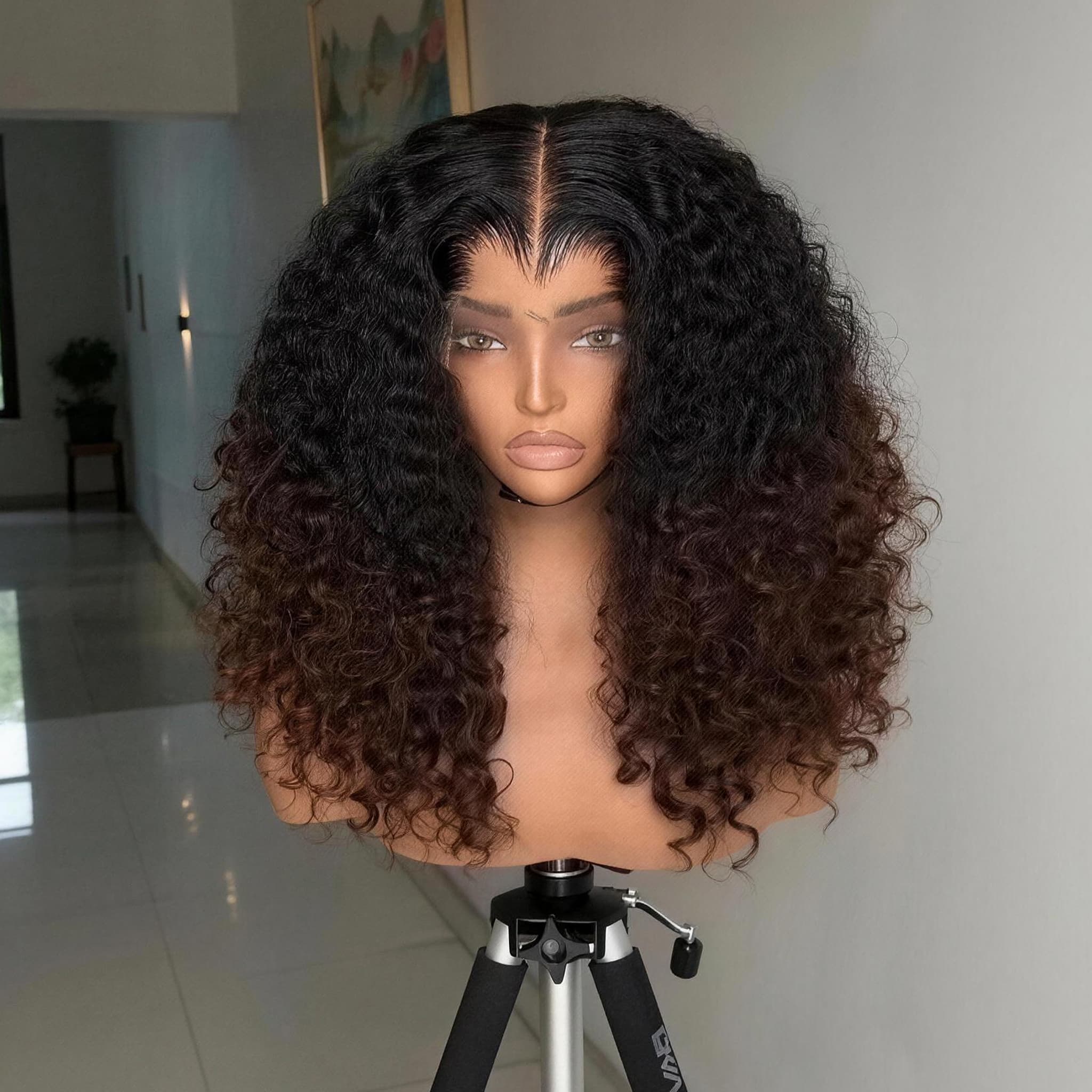 SWAY Bouncy Springy Coils Tight Curly Ombre Black Brown 300 Density 13x4 Lace Front Human Hair Wig