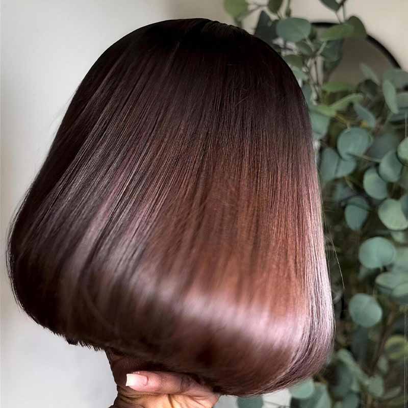 SWAY 8 10 12inch Short Bob Chestnut Burgundy Red Chocolate Brown Elegant 13x4 Lace Frontal Human Hair Wigs