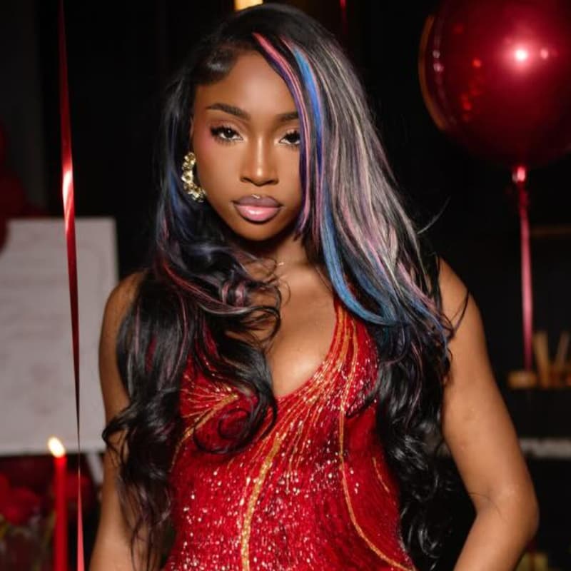 SWAY Black With Pink Blue Purple Highlights 13x4 Lace Front Human Hair Wigs