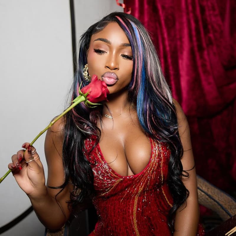 SWAY Black With Pink Blue Purple Highlights 13x4 Lace Front Human Hair Wigs