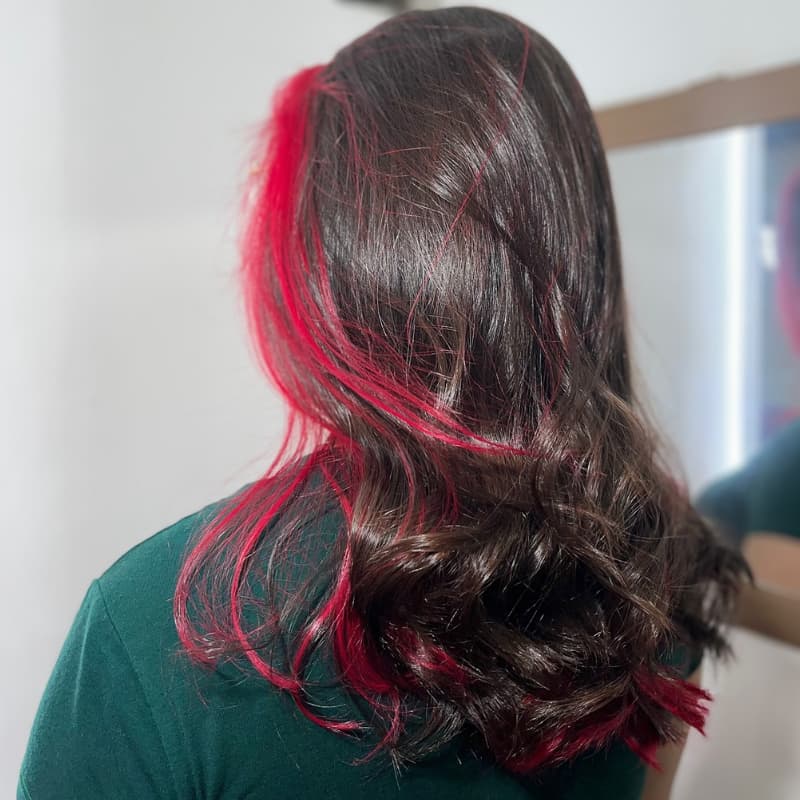 SWAY Peekaboo Dark Brown Hot Pink Streaks 13x4 Lace Front Human Hair Wigs